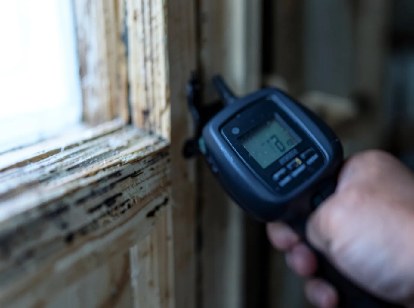 Moisture Inspection And Documentation in Preemption, IL